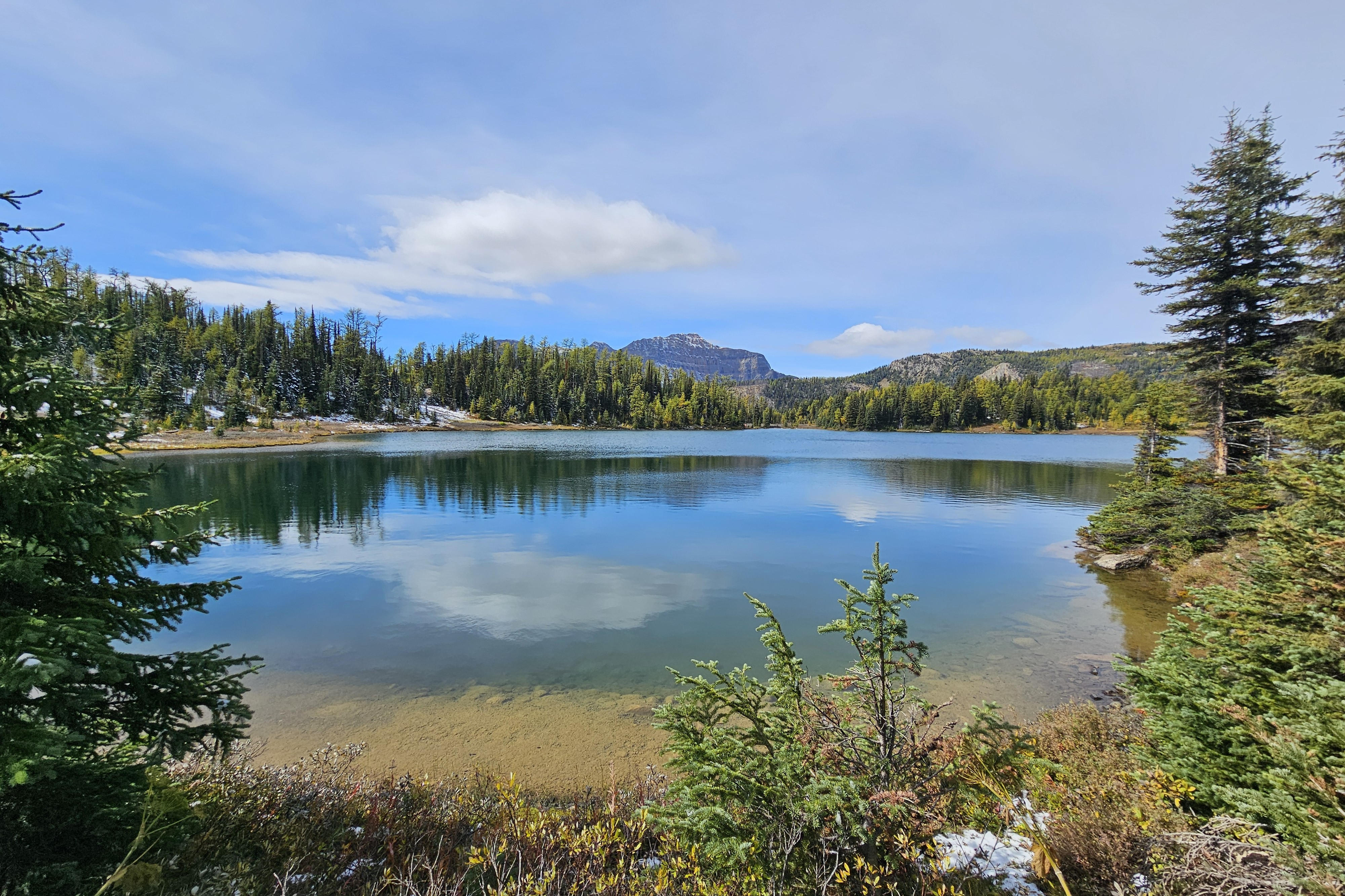 Sunshine Meadows